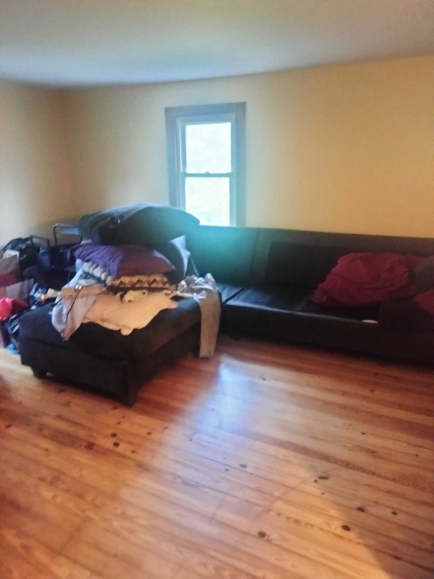 Sectional sofa assembled against the wall in a bright living room